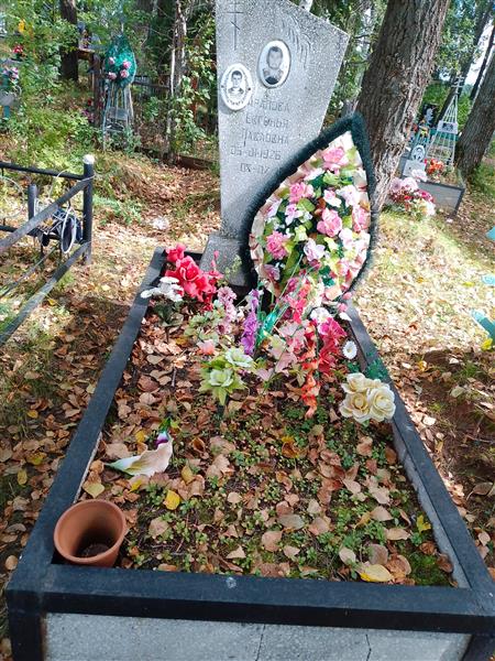 Арапова Евгенья Павловна