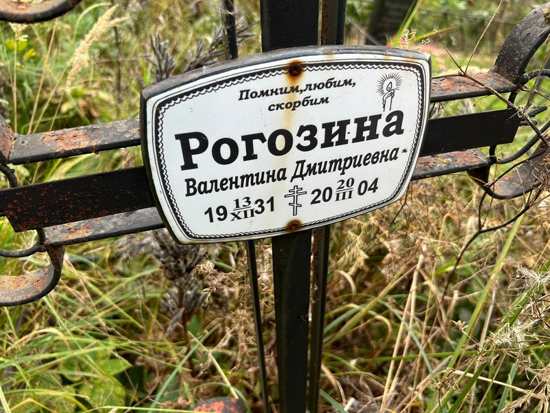 Рогозина