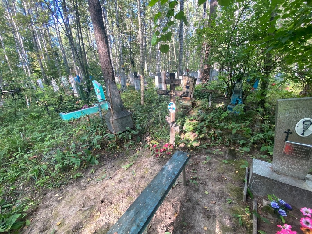 Набоких Елена Анатольевна