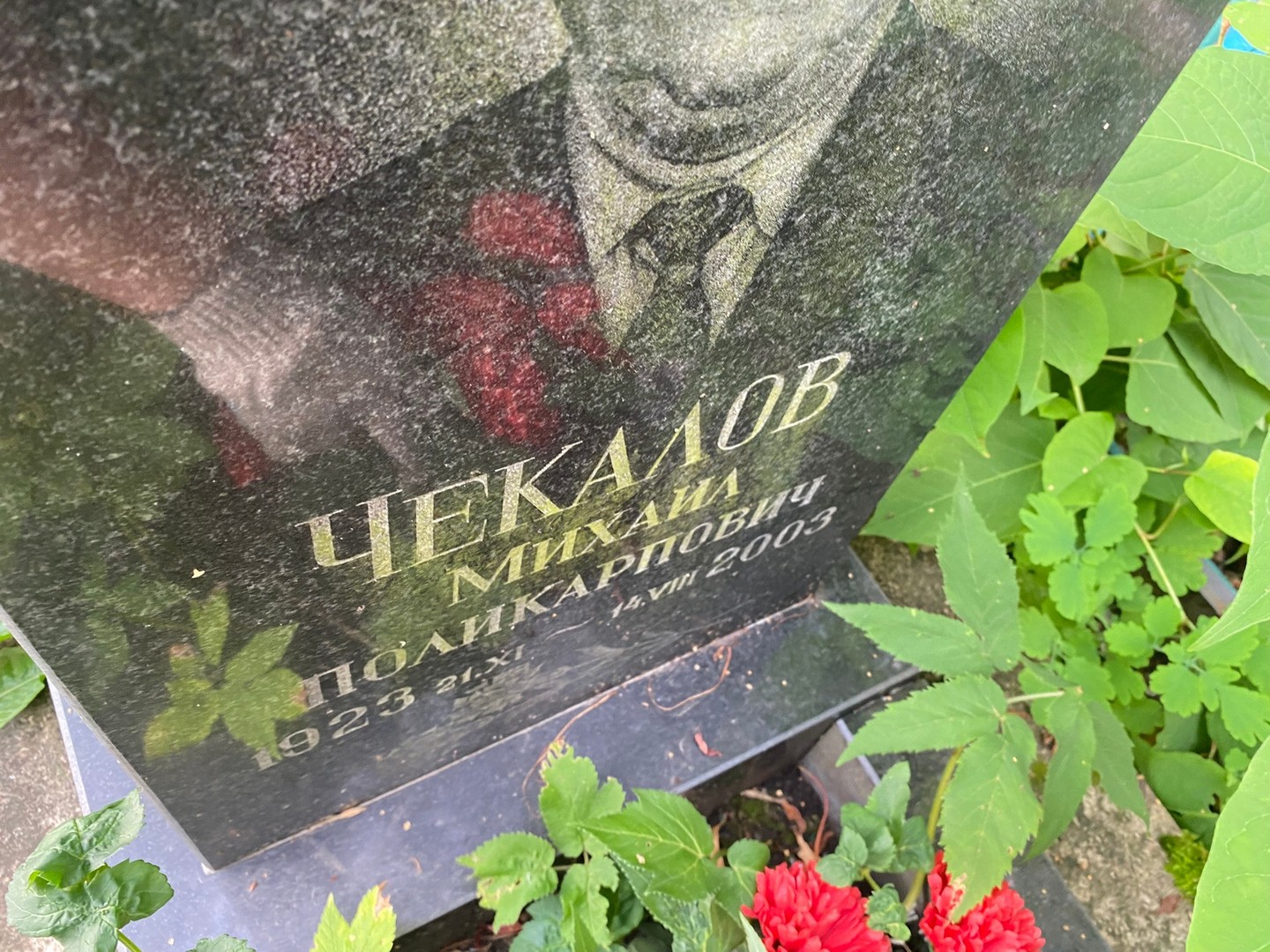 Чекалов