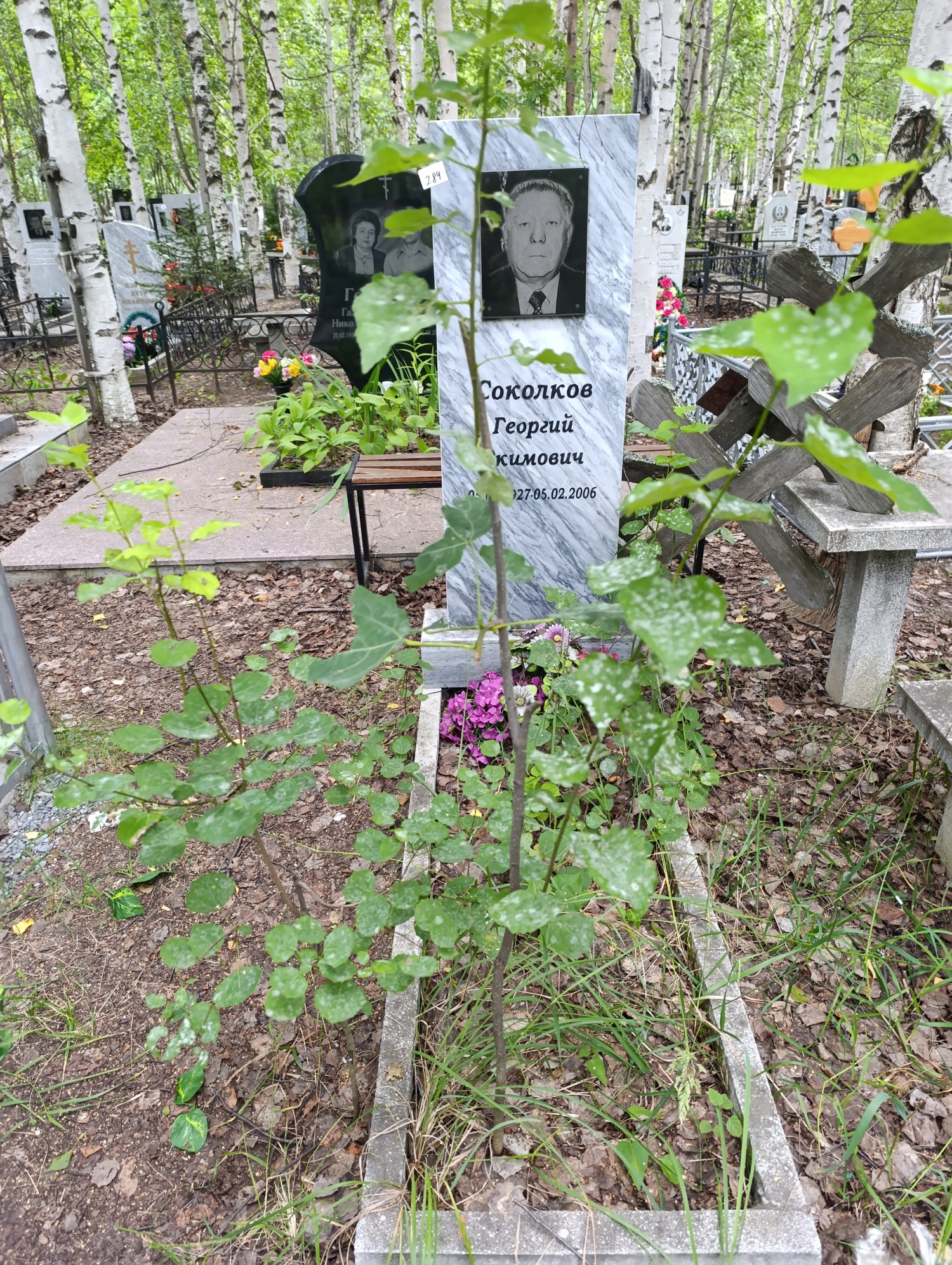 Соколков Георгий Екимович