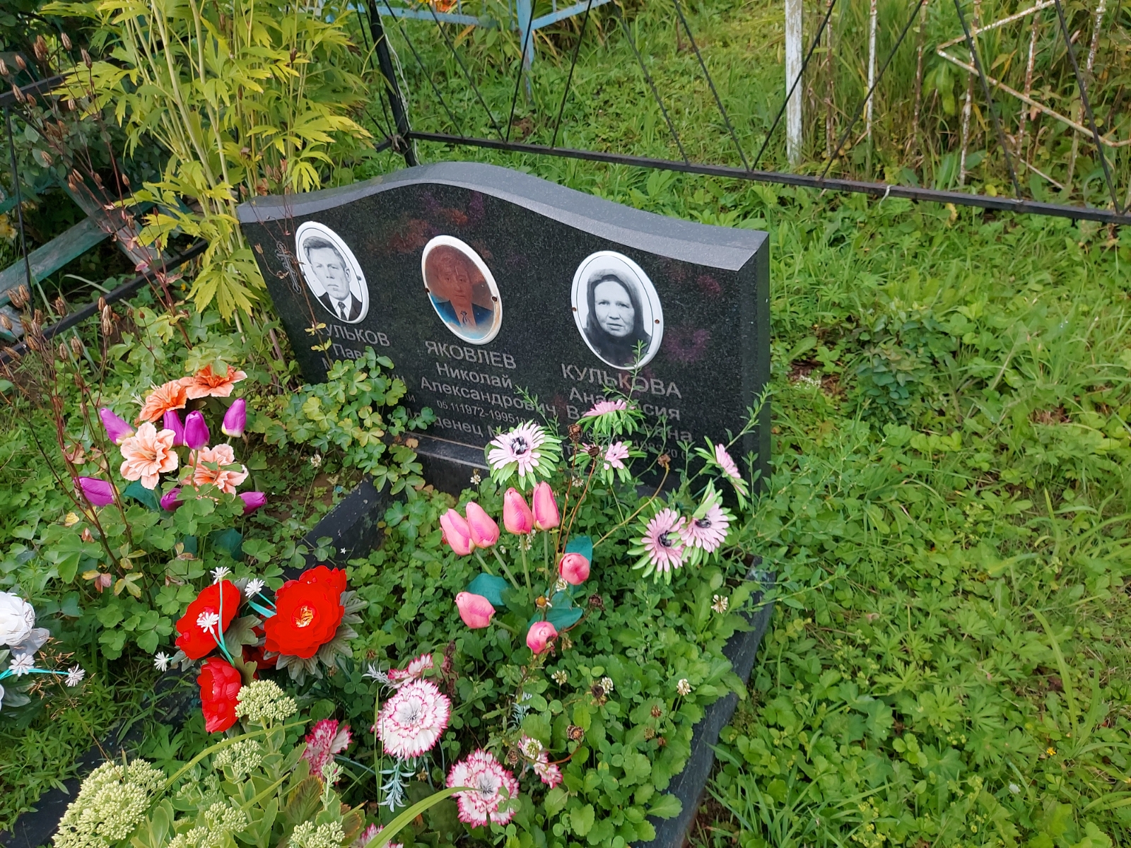 Кулькова Анастасия Васильевна