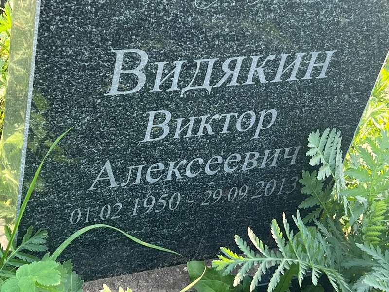 Видякин