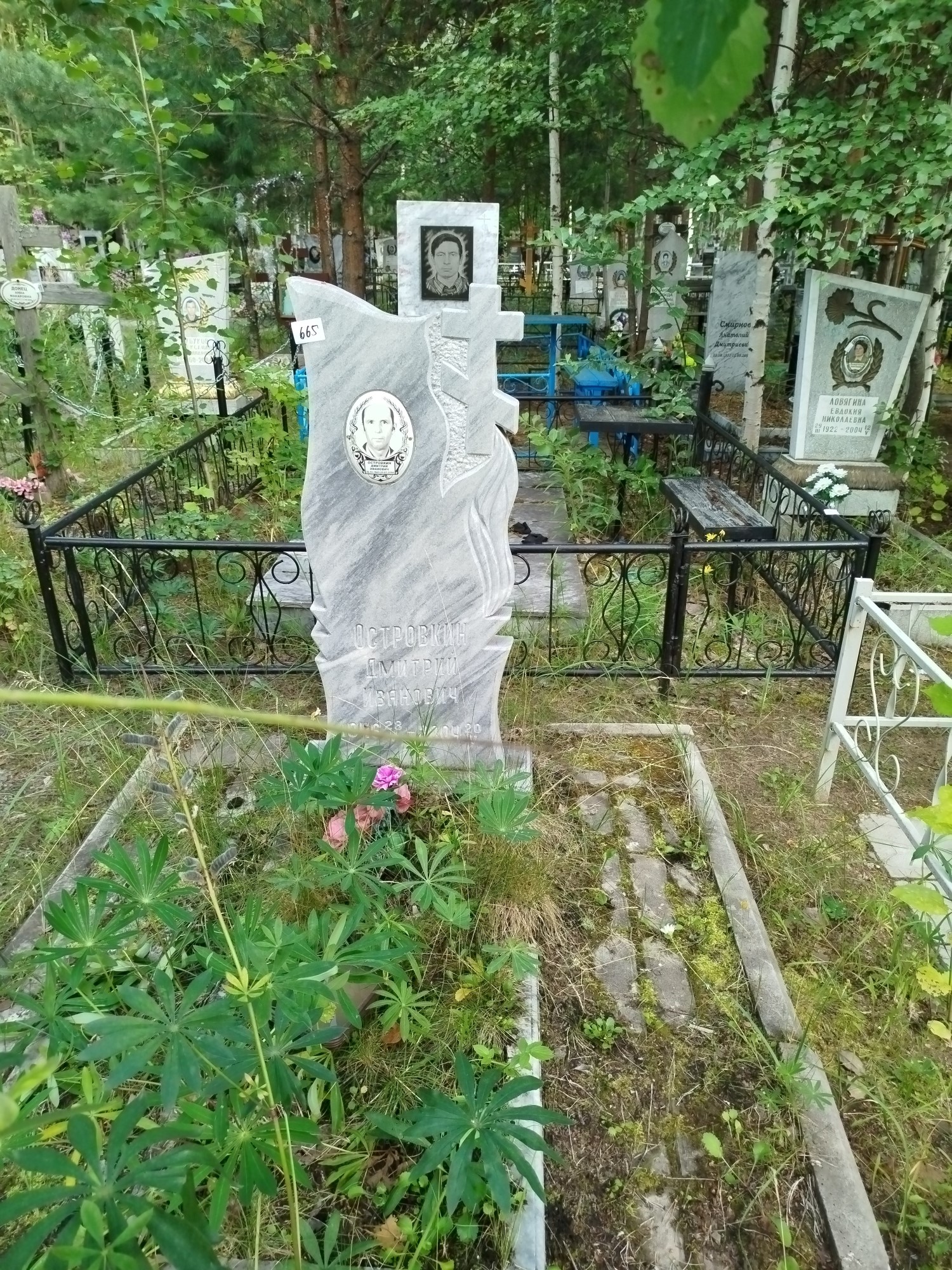 Островкин Дмитрий Иванович
