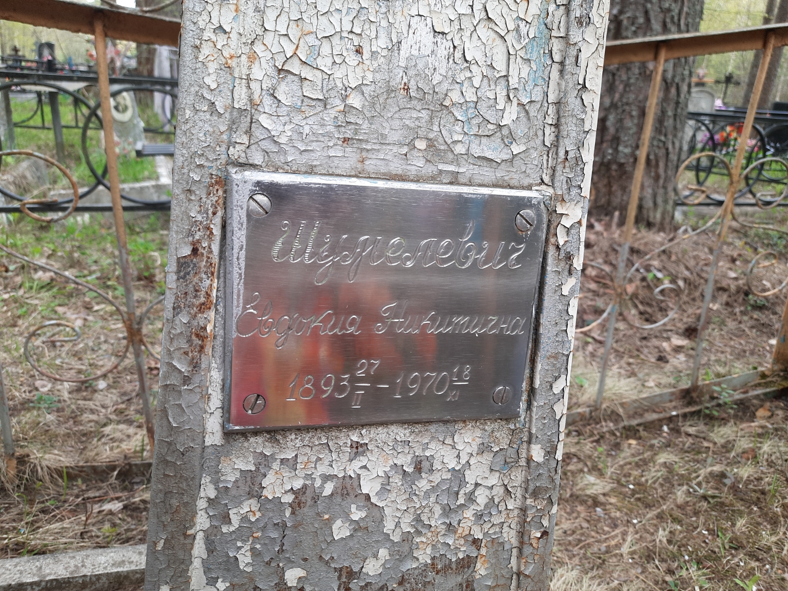 Шумелевич Евдокия Никитична