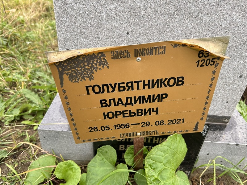 Голубятников