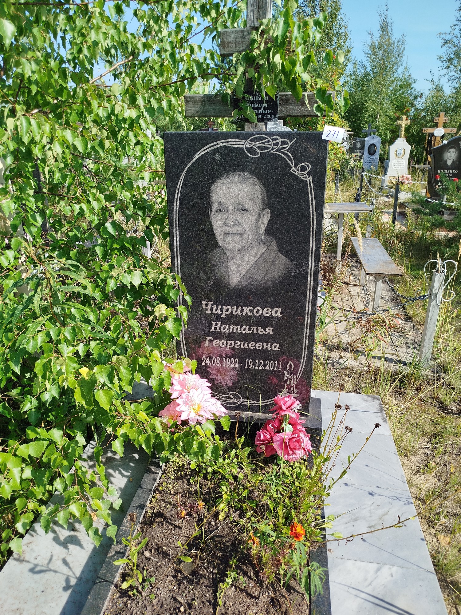 Чирикова Наталья Георгиевна