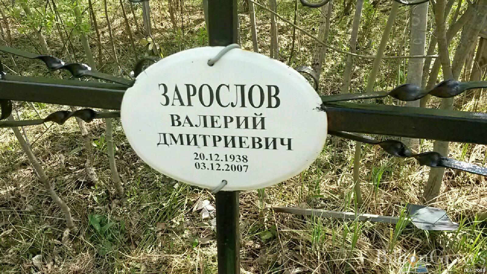 зарослов валерий дмитриевич