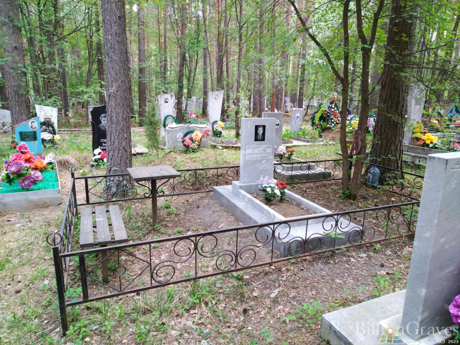 Лукоянов Сергей Николаевич