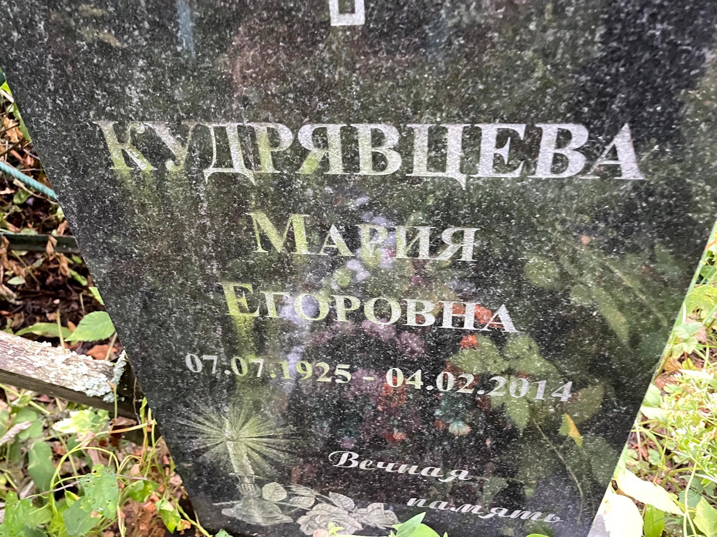 Кудрявцева