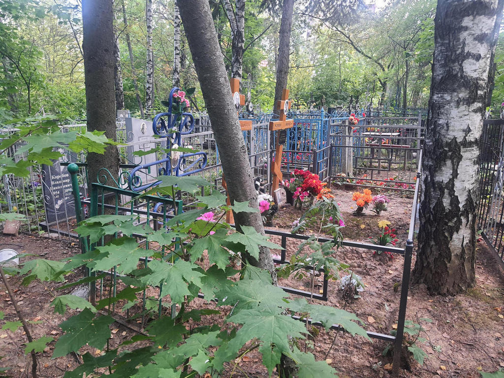 Шутов Виталий Николаевич