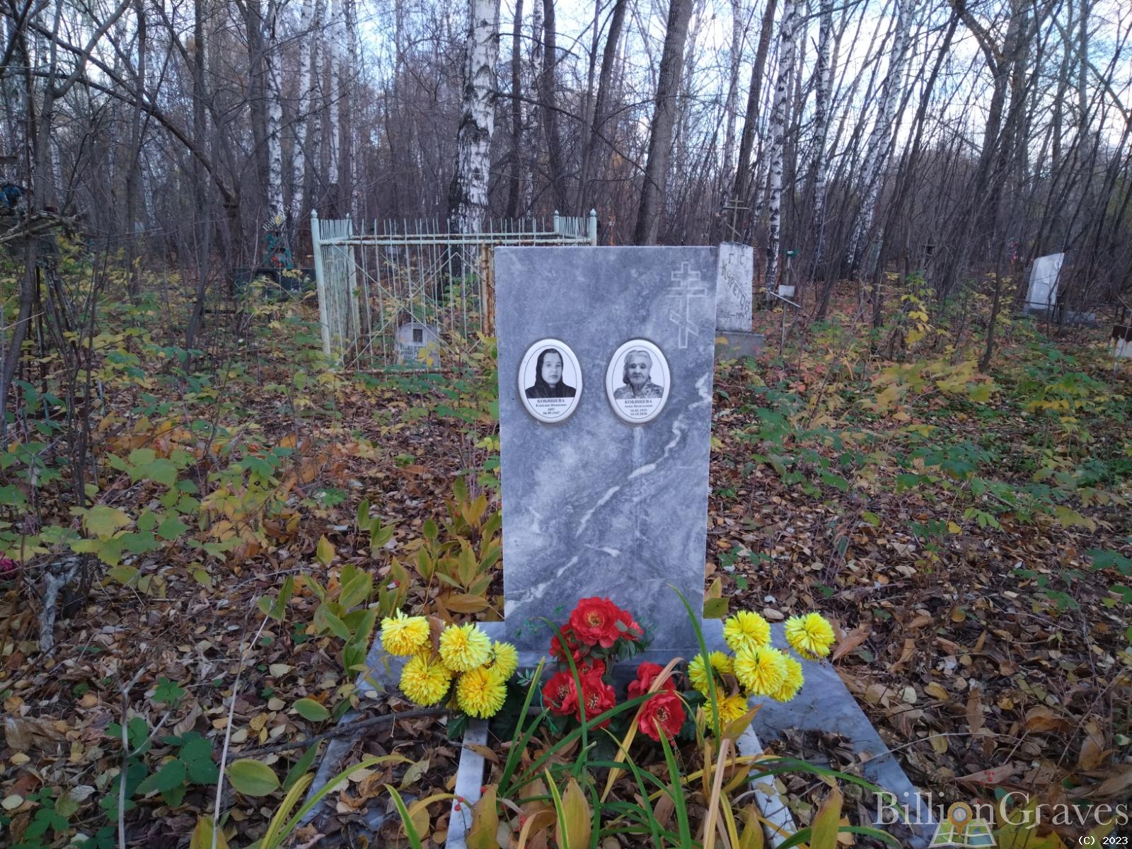 Кобяшева Анна Васильевна