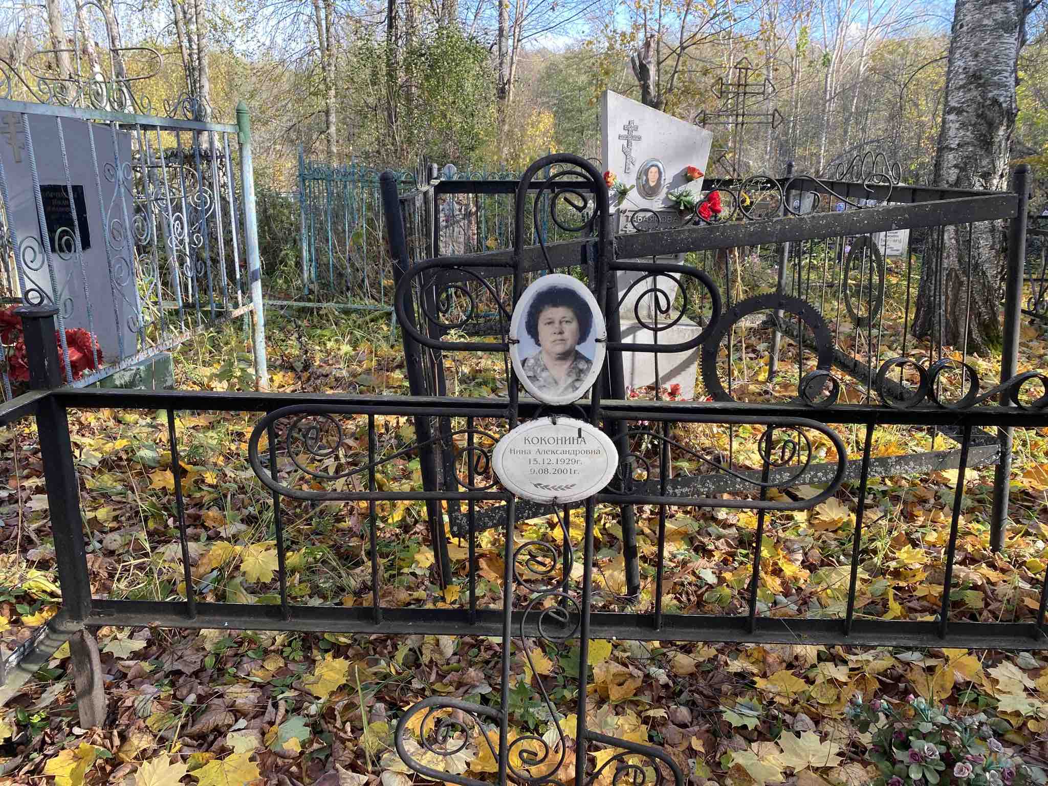 Коконина Нина Александровна