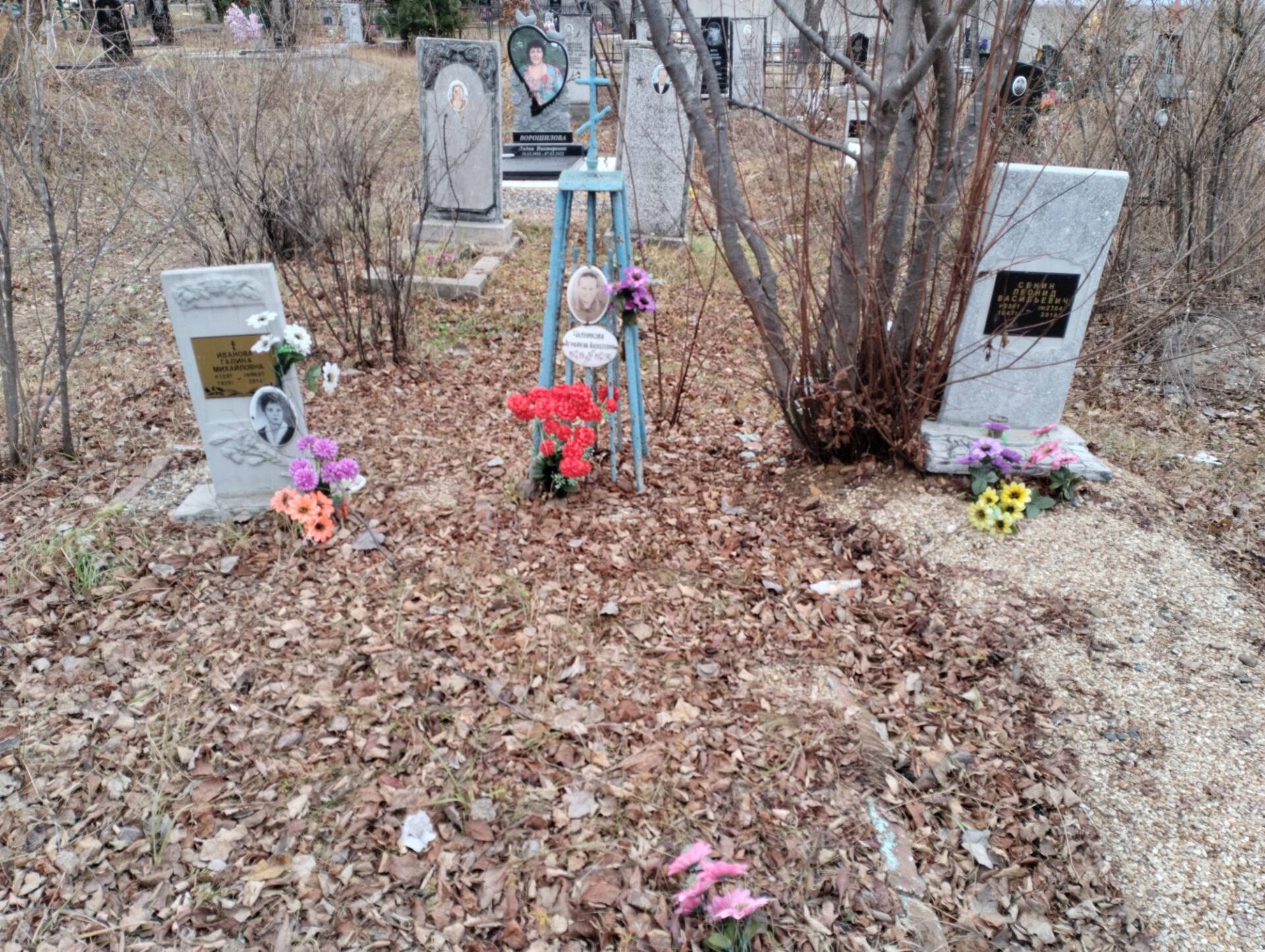 Чайникова Аграфена Алексеевна