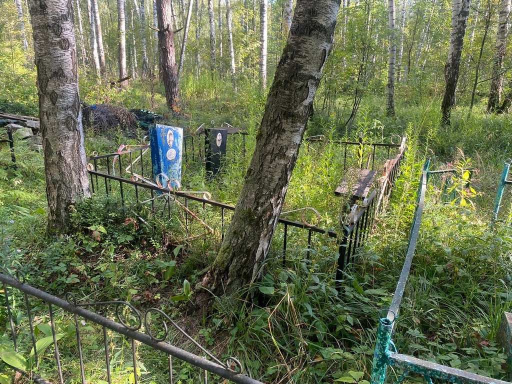 Телегин Николай Иванович
