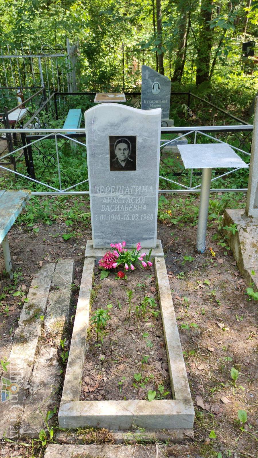 Верещагина Анастасия Васильевна
