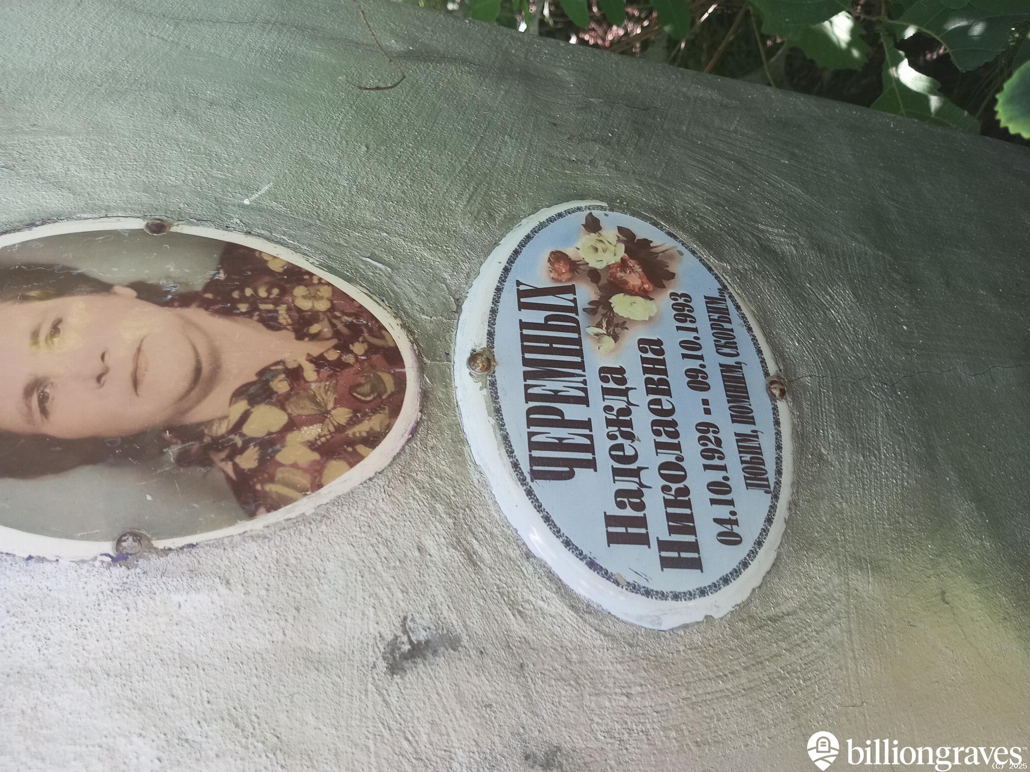 Черемных Надежда Николаевна