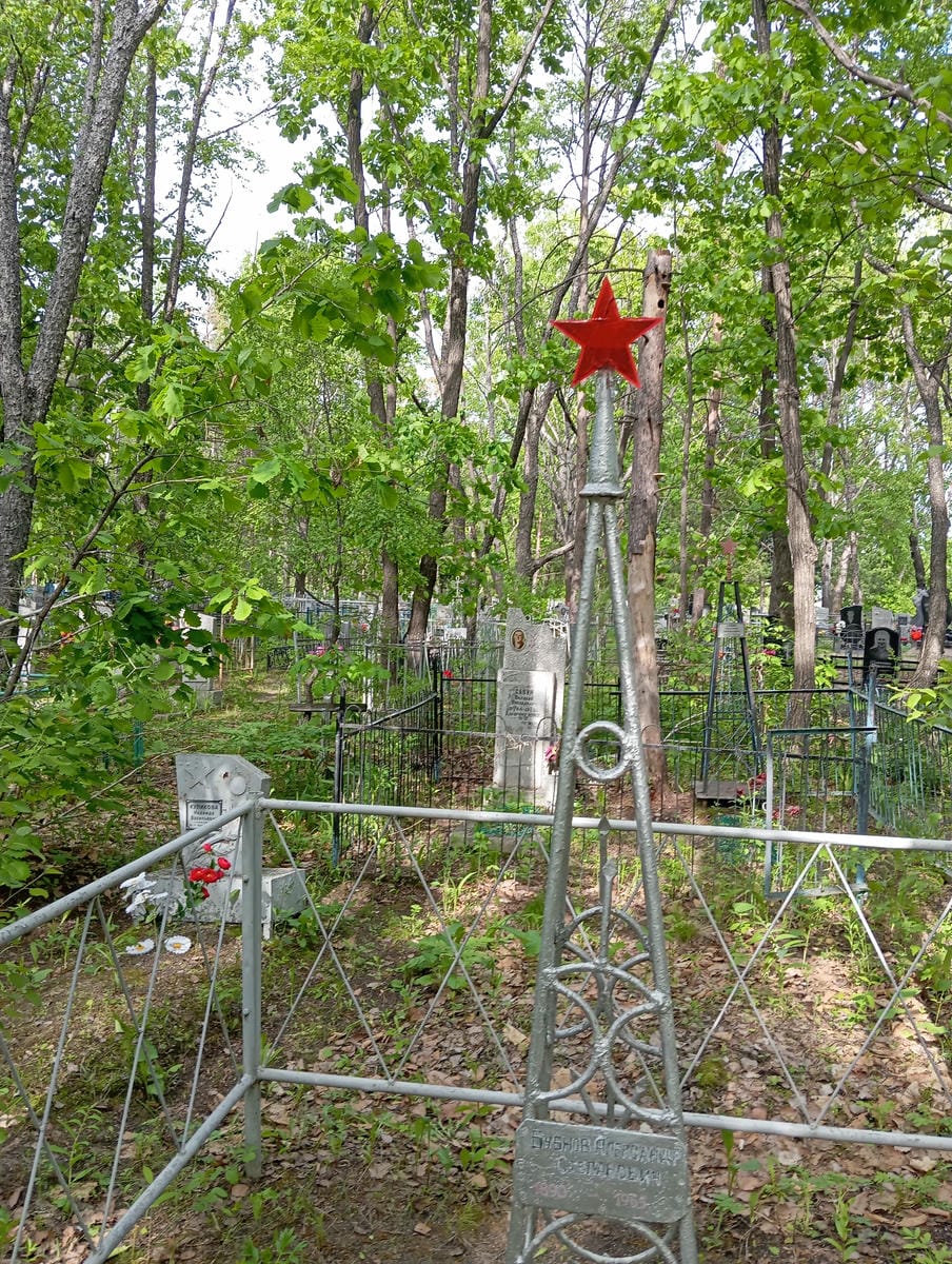 Бубнов Александр Степанович