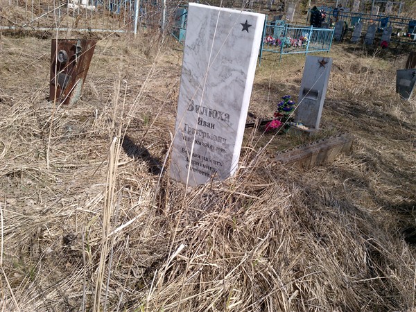 Вилюхина Ирина Александровна