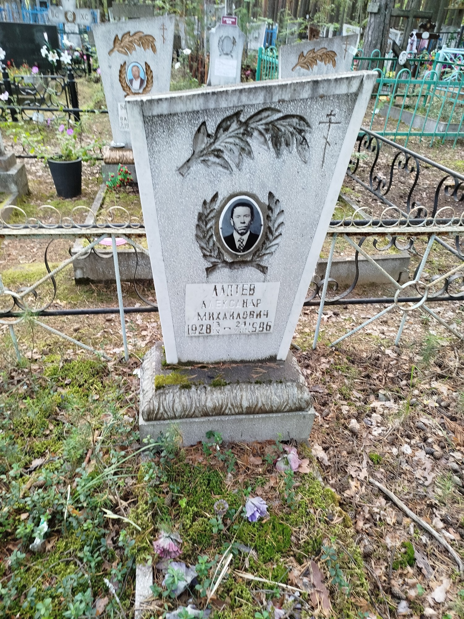 Лаптев Александр Михайлович