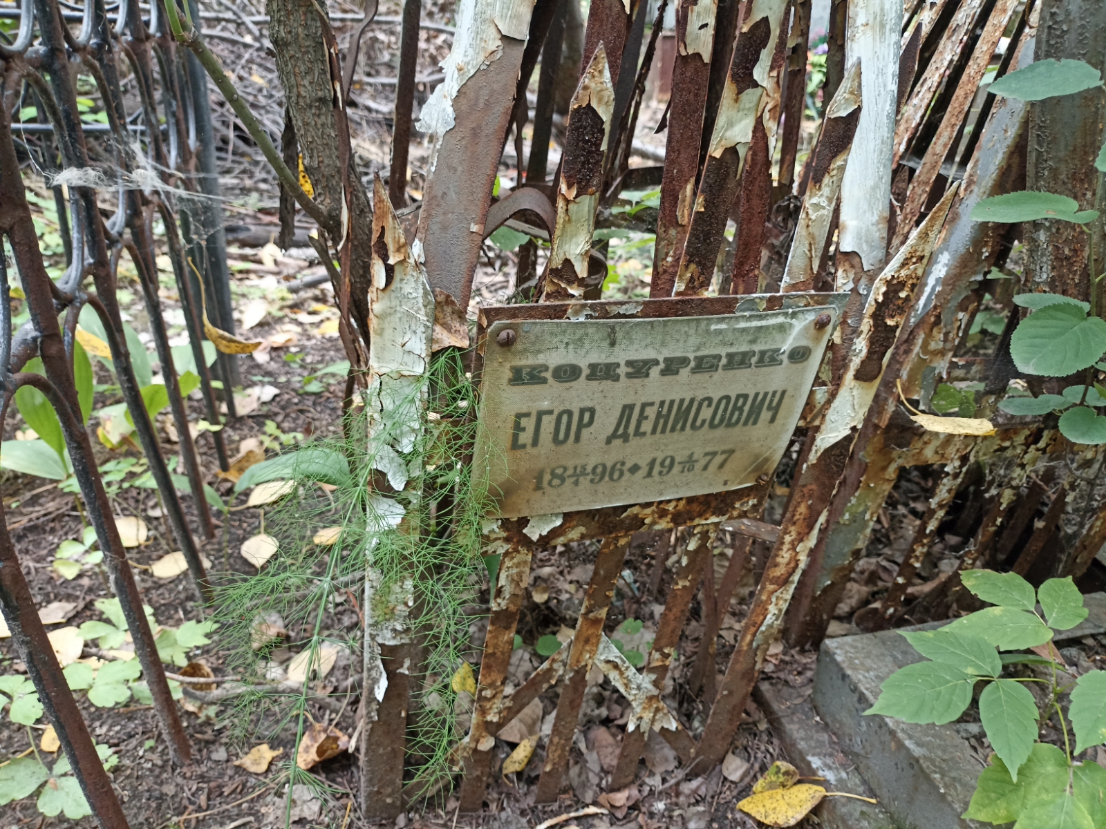 Коцуренко Егор Денисович