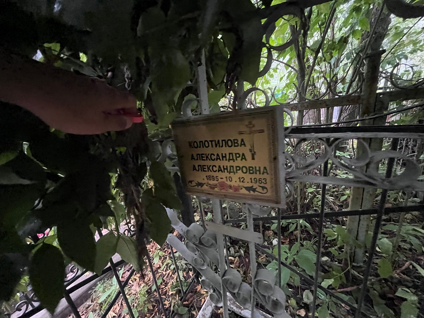 Колотилова Александра Александровна