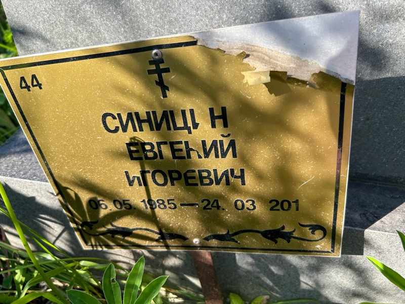 Синицин