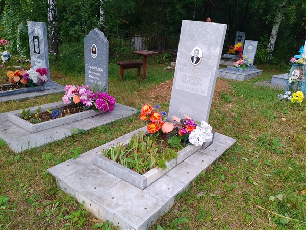 Перегудов Вячеслав Петрович