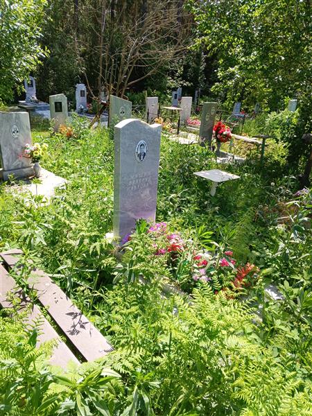 Мишин Валерий Павлович