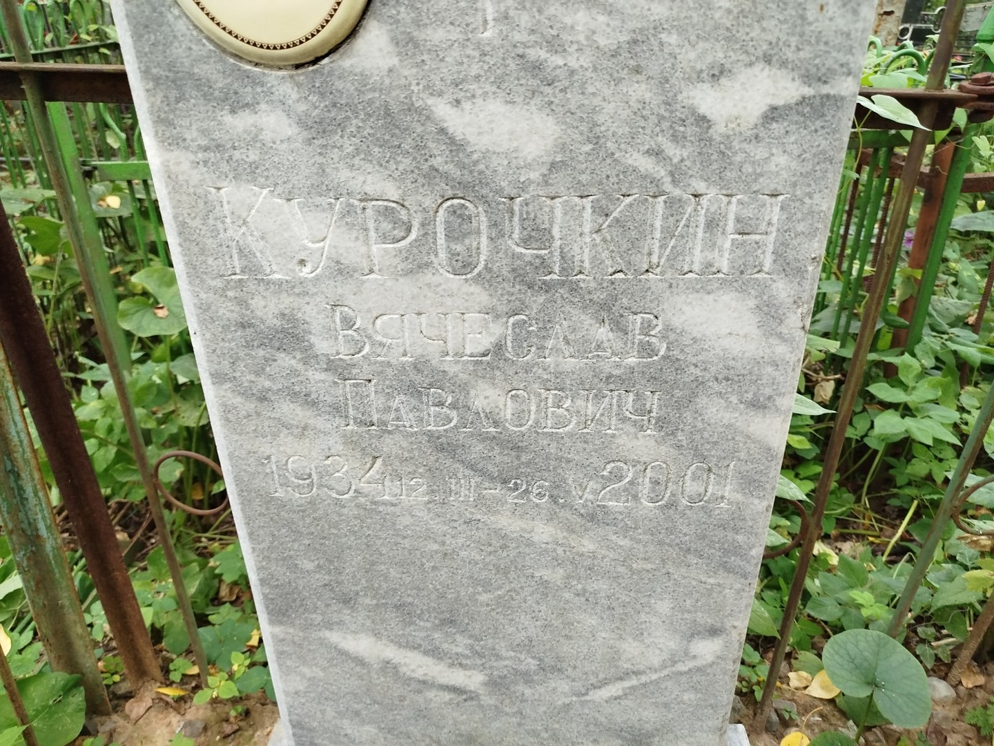 Курочкин