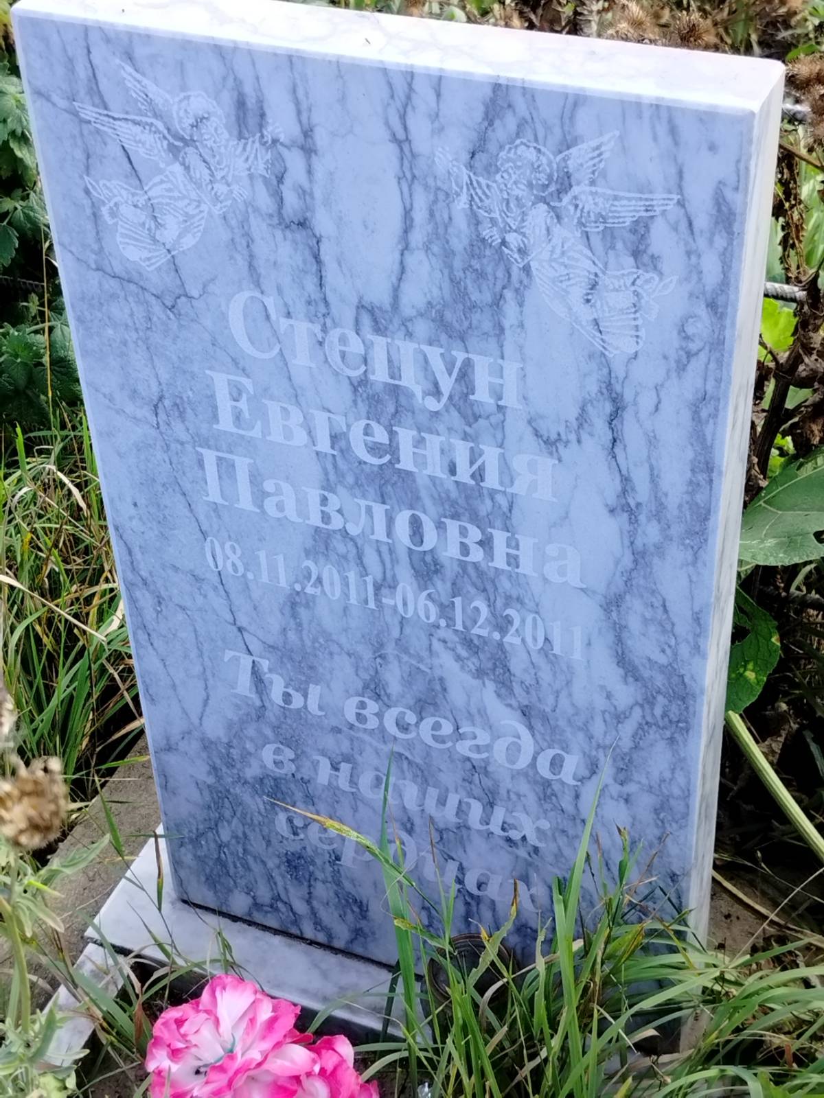 Стецун Евгения Павловна