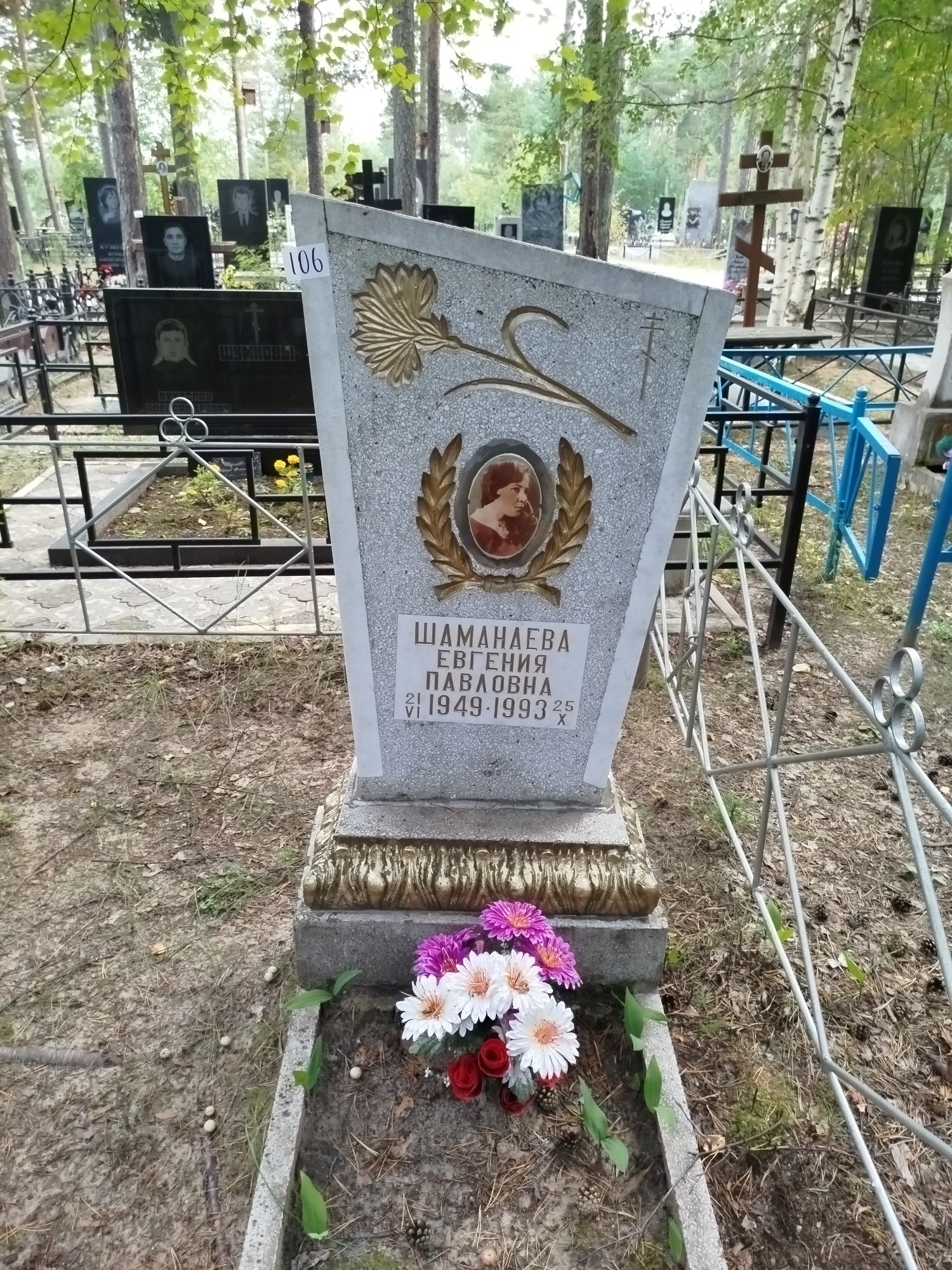 Шаманаева Евгения Павловна