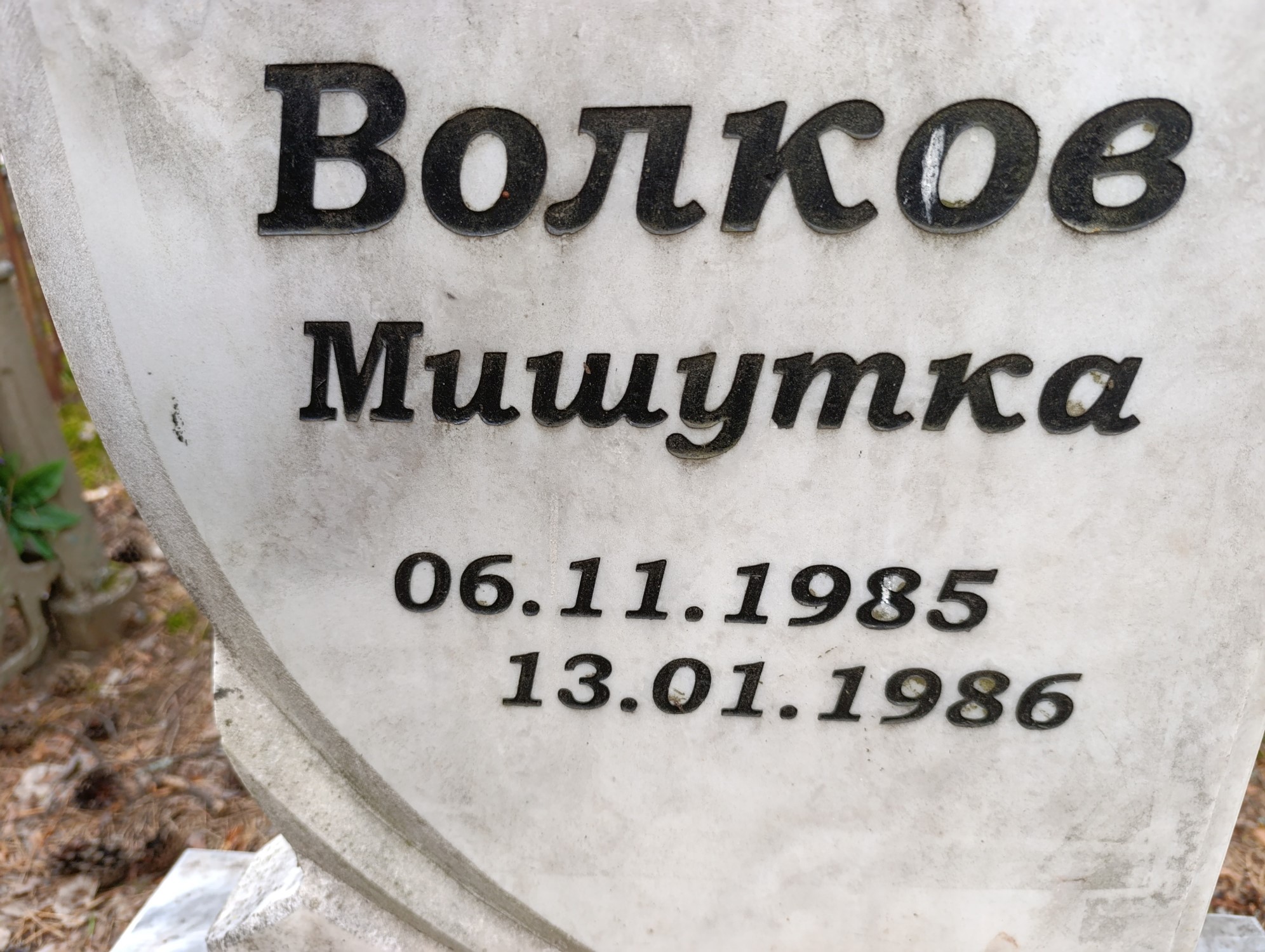 Волков Михаил