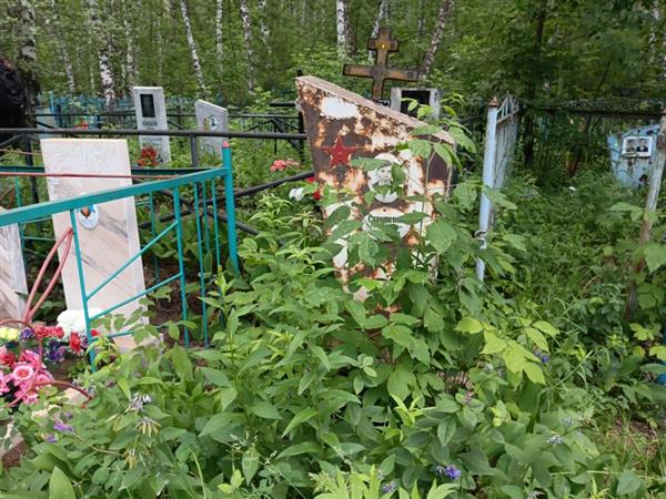 Степаник Степан Алексеевич