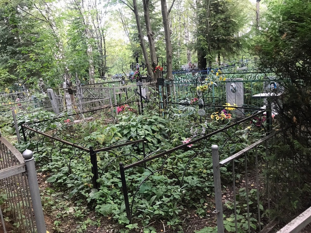 Демидов Виктор Николаевич