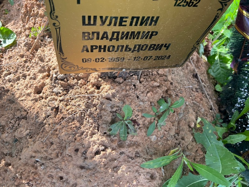 Шулепин