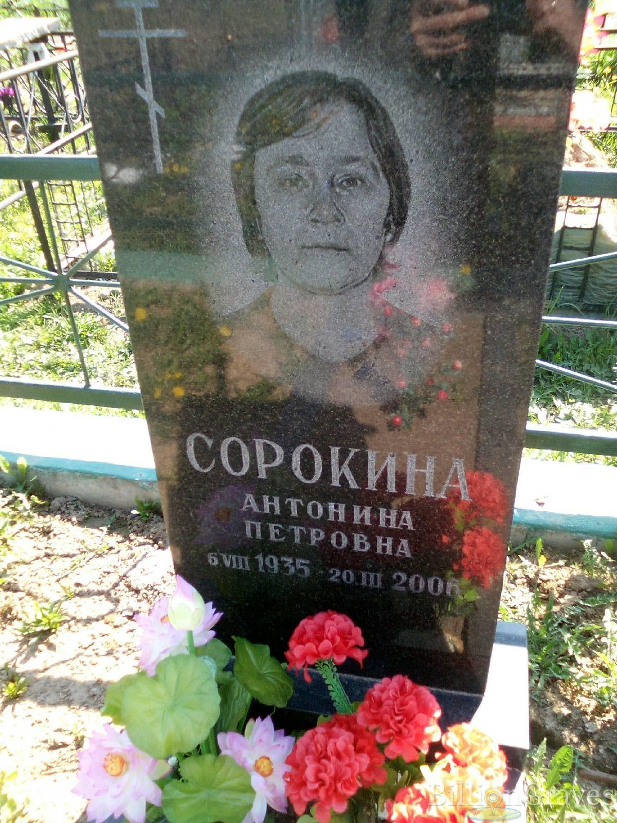 сорокина антонина петровна