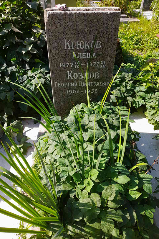 Крюков Алеша