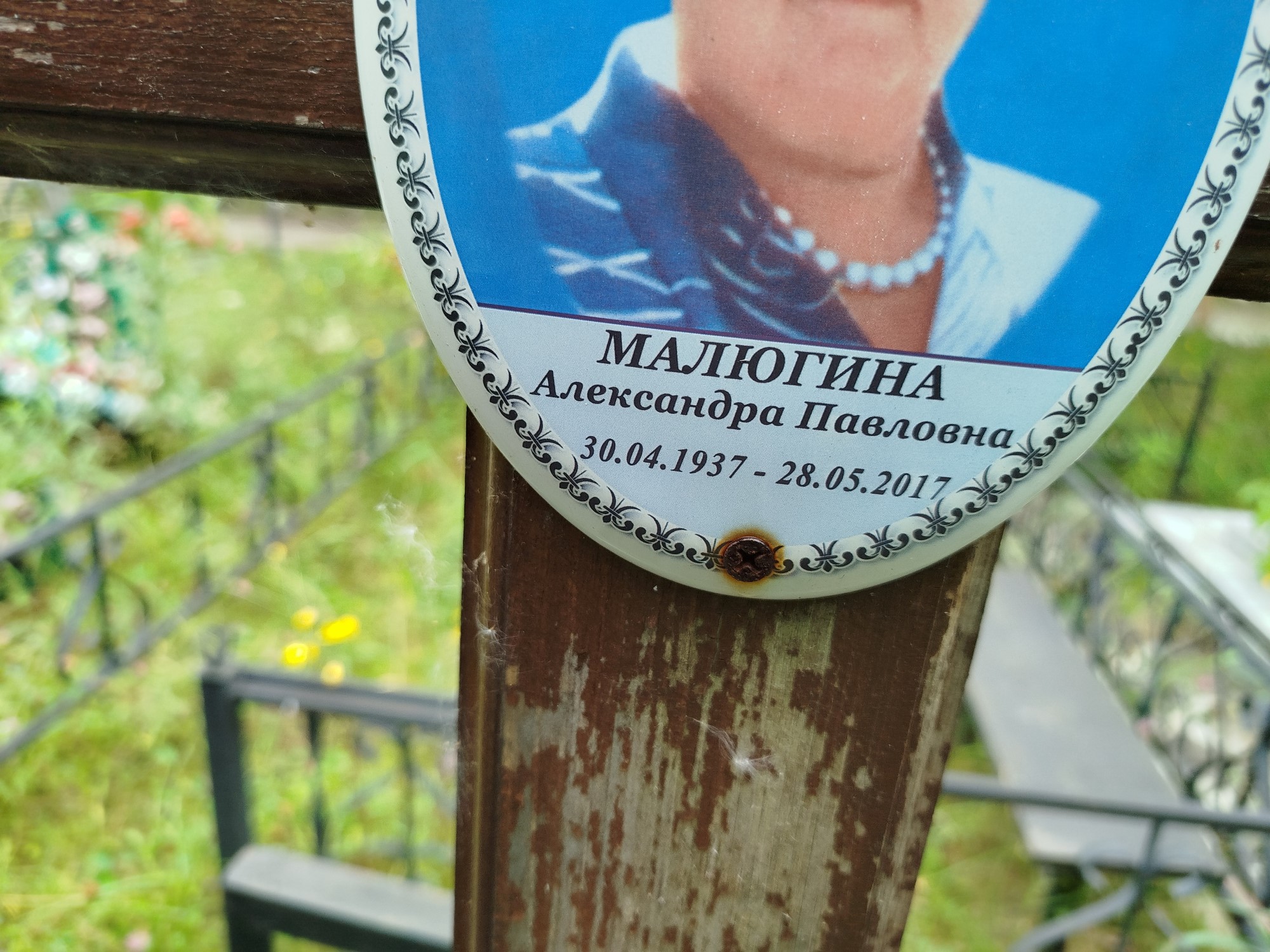 Малюгина Александра Павловна