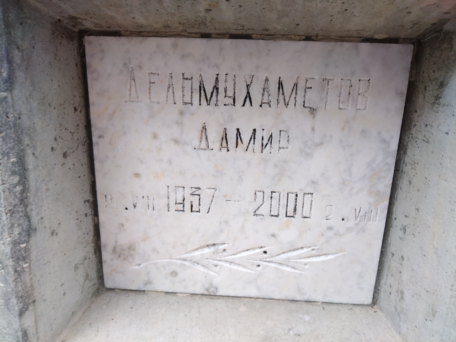 Дельмухаметов Дамир
