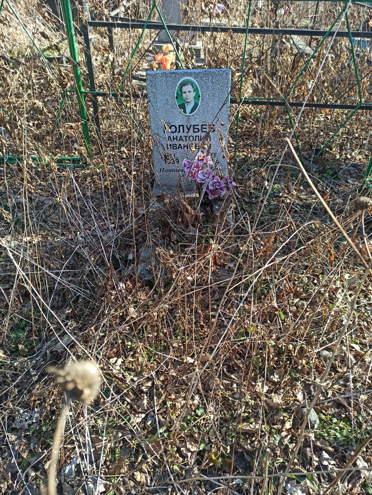 Голубев Анатолий Иванович