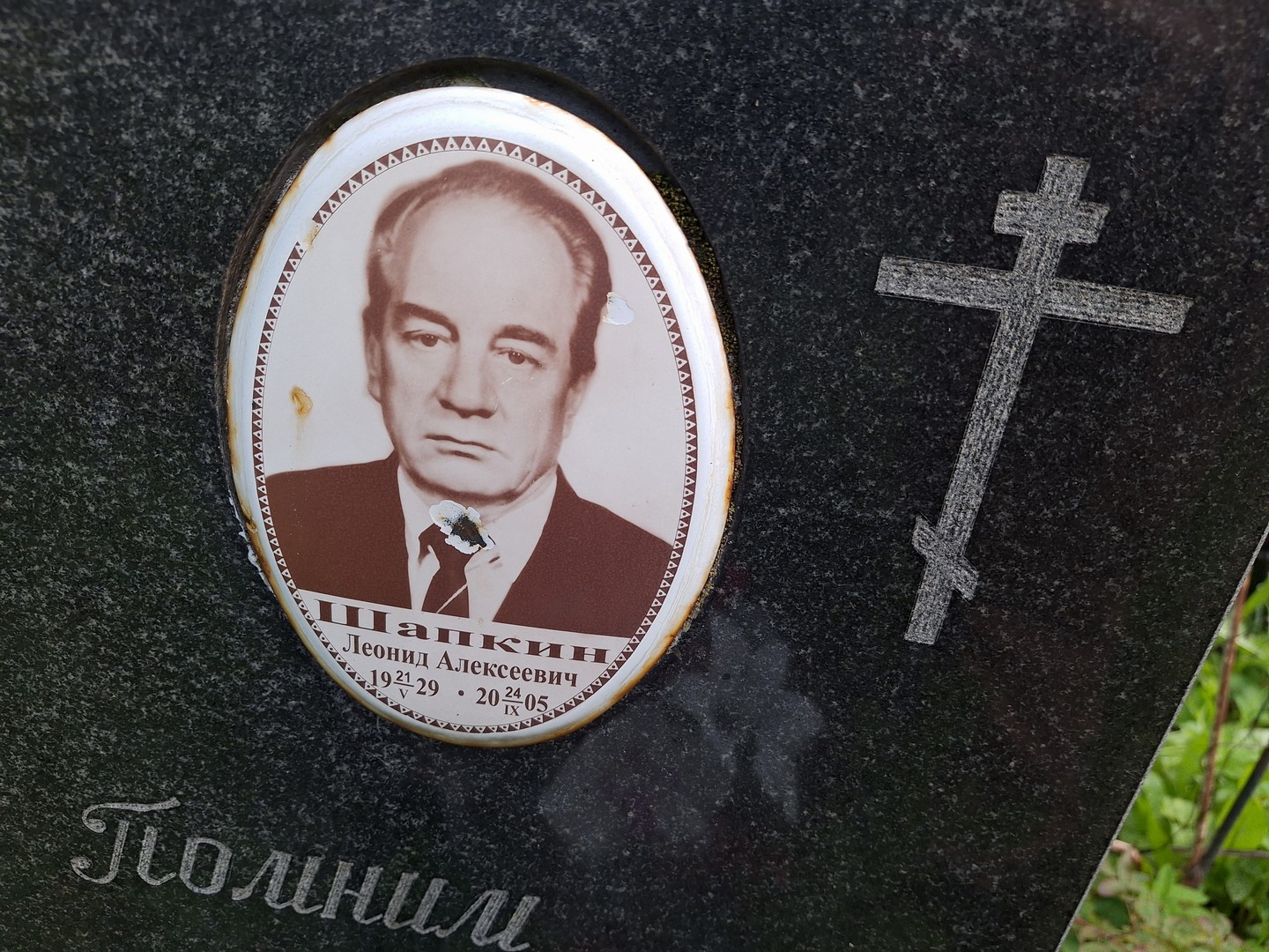 Шапкин