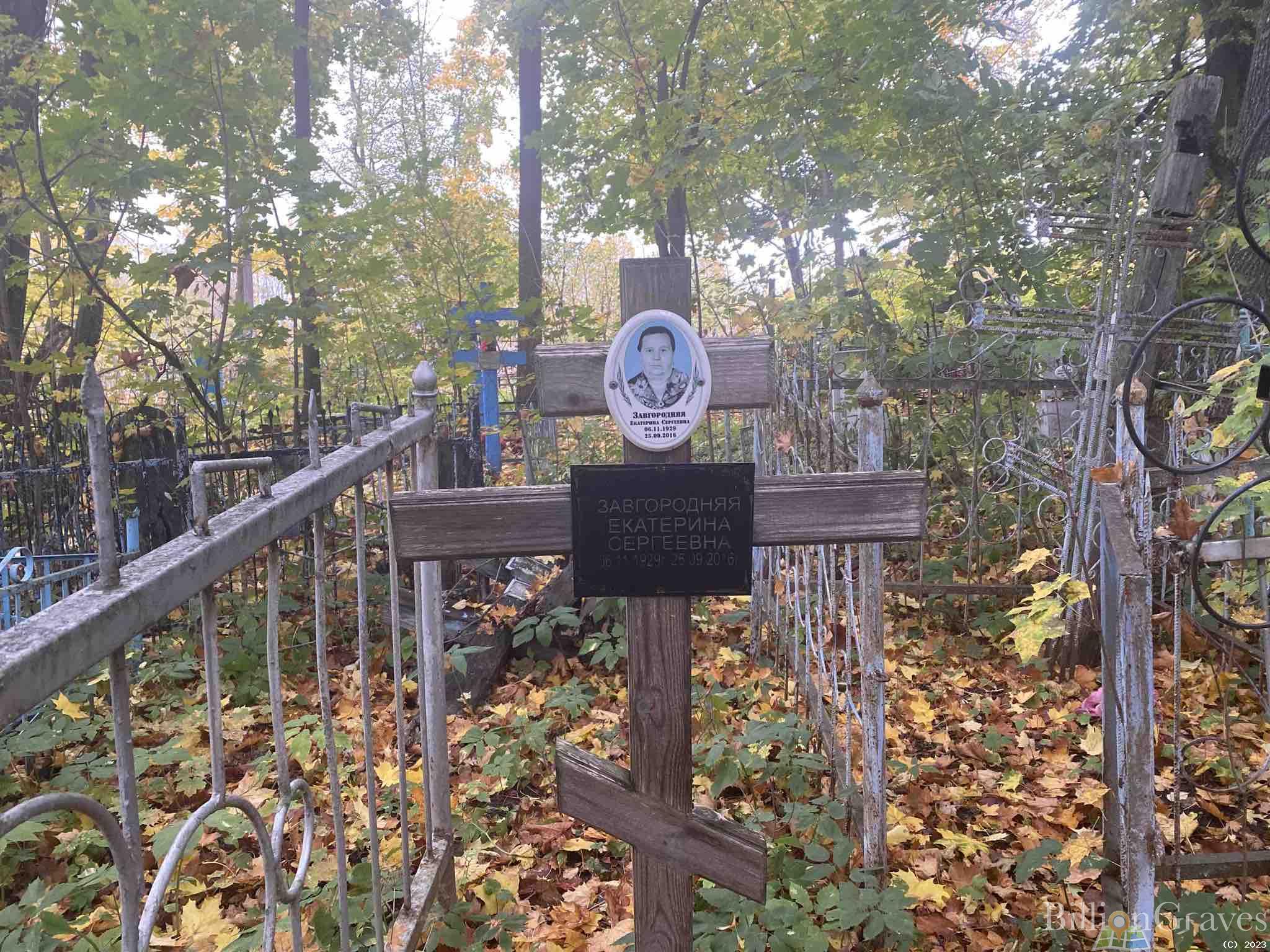 Завгородняя Екатерина Сергеевна