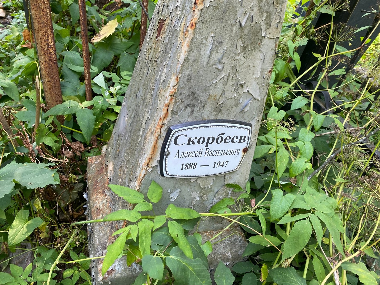 Скорбеев