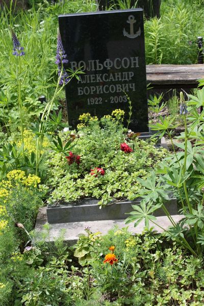 Вольфсон А. Б.