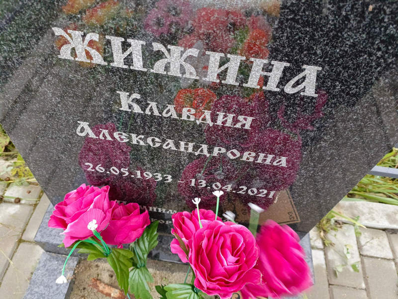 Жижина
