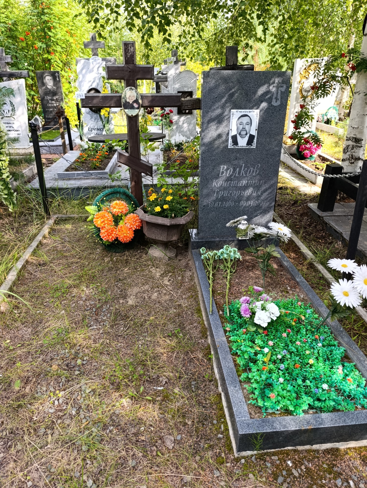 Волкова Ольга Николаевна