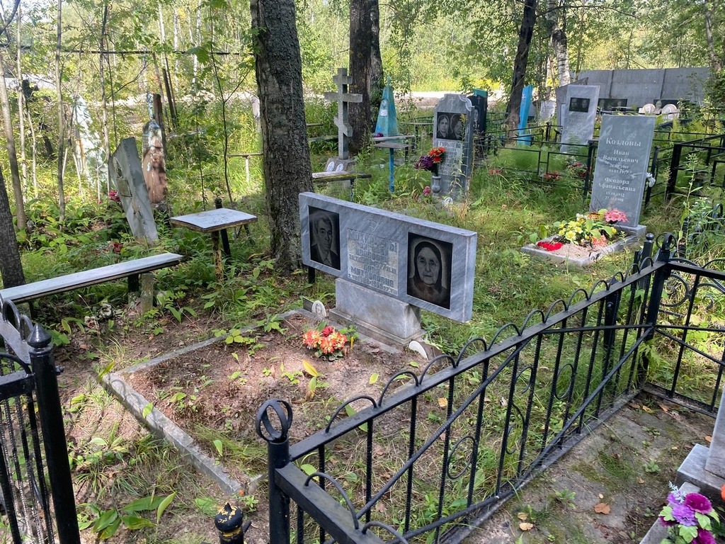 Мохначева Анна Михайловна