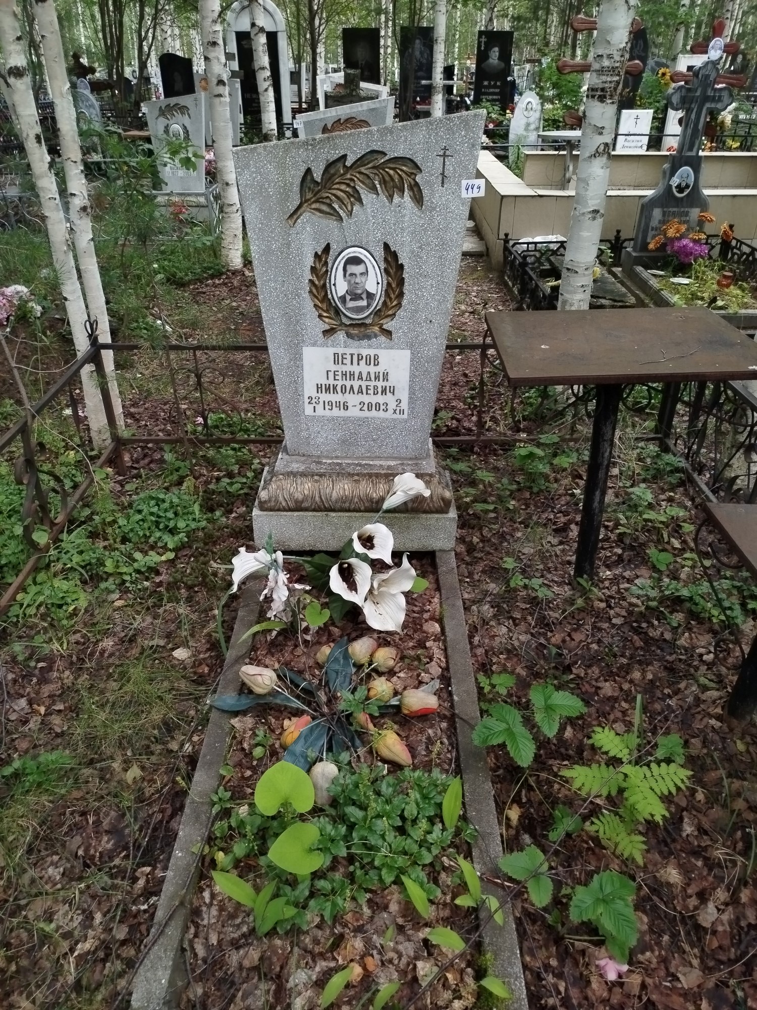 Петров Геннадий Николаевич
