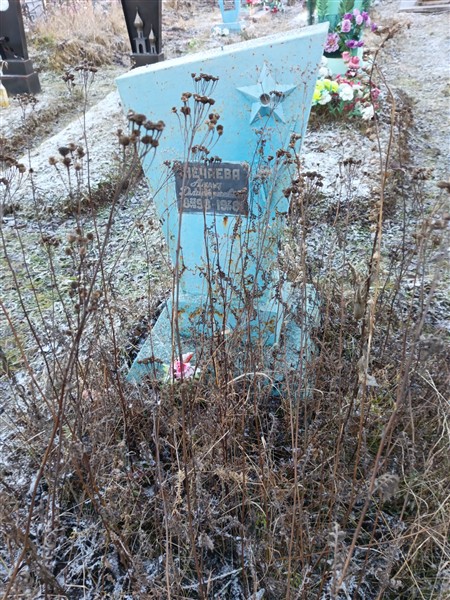 Нечаева Анна Дмитриевна